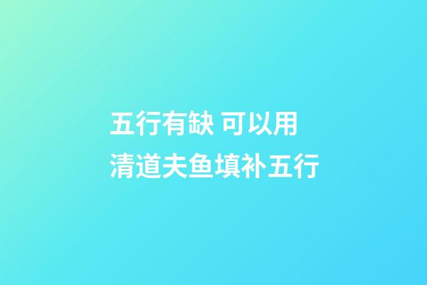 五行有缺 可以用清道夫鱼填补五行